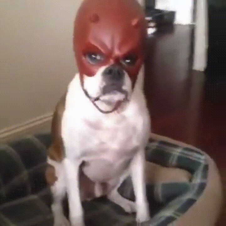 alienboyep