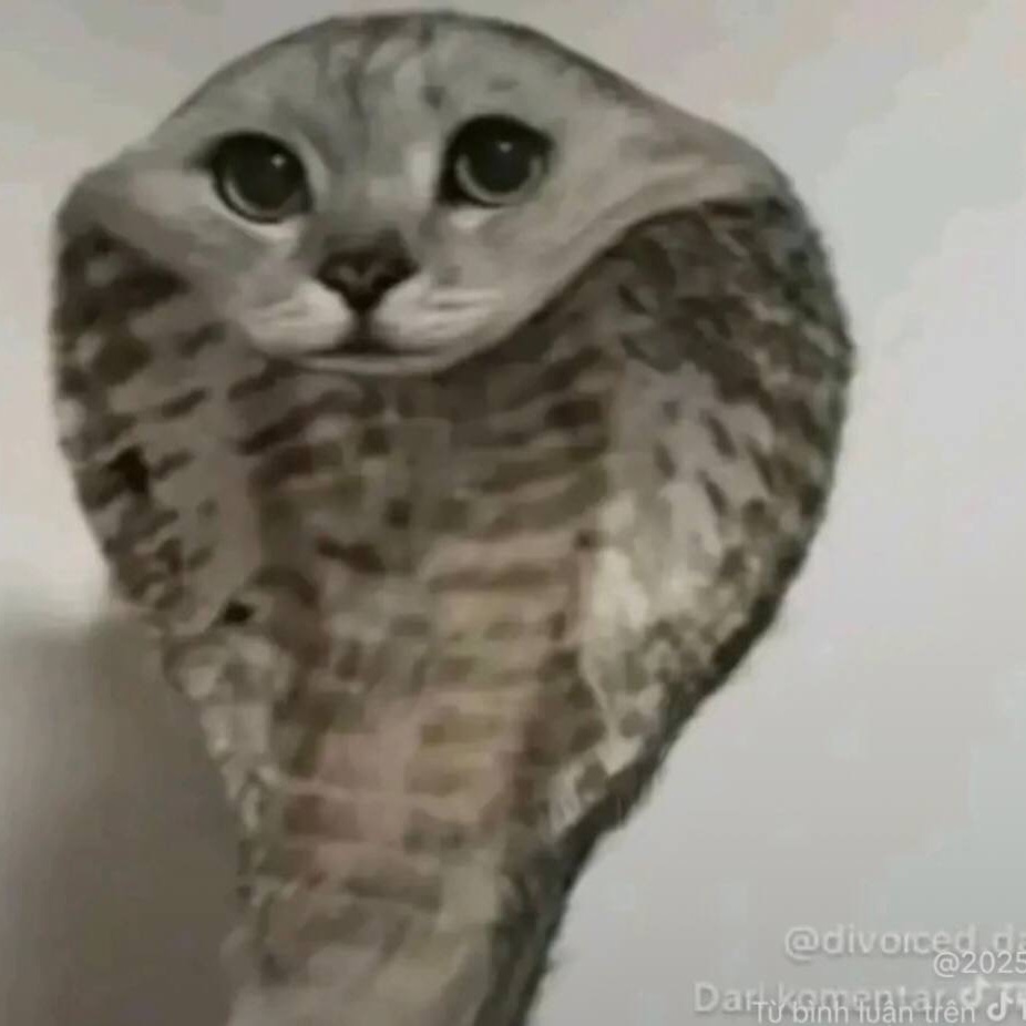 morphhhhhhh1