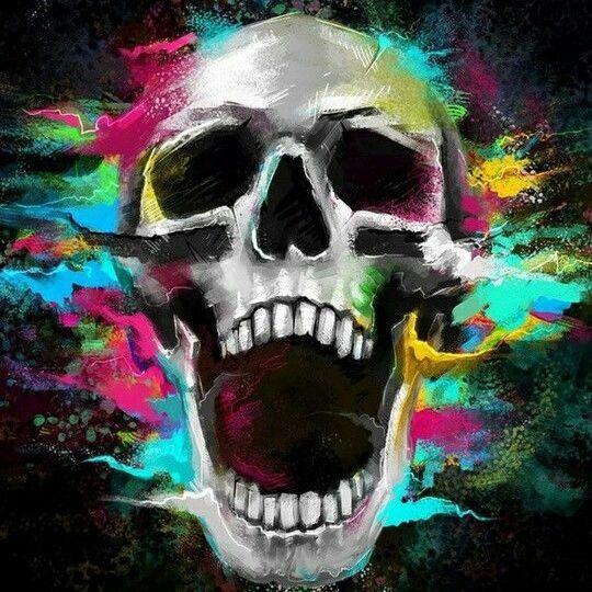 edi13 avatar