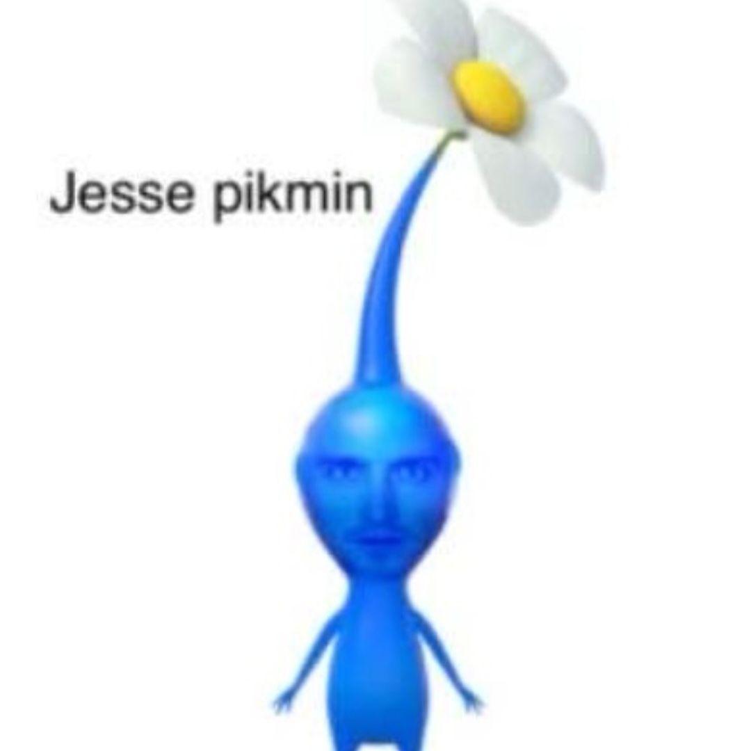 Pferdinant avatar