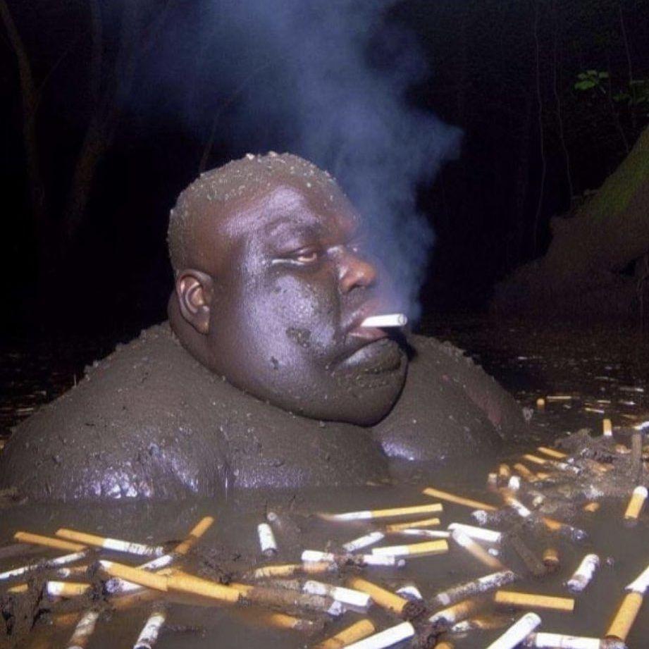 St0rtal avatar