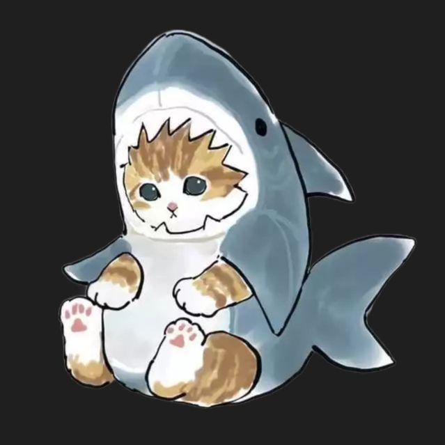 d0rekk avatar