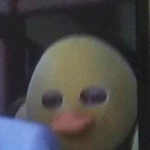 -yms
