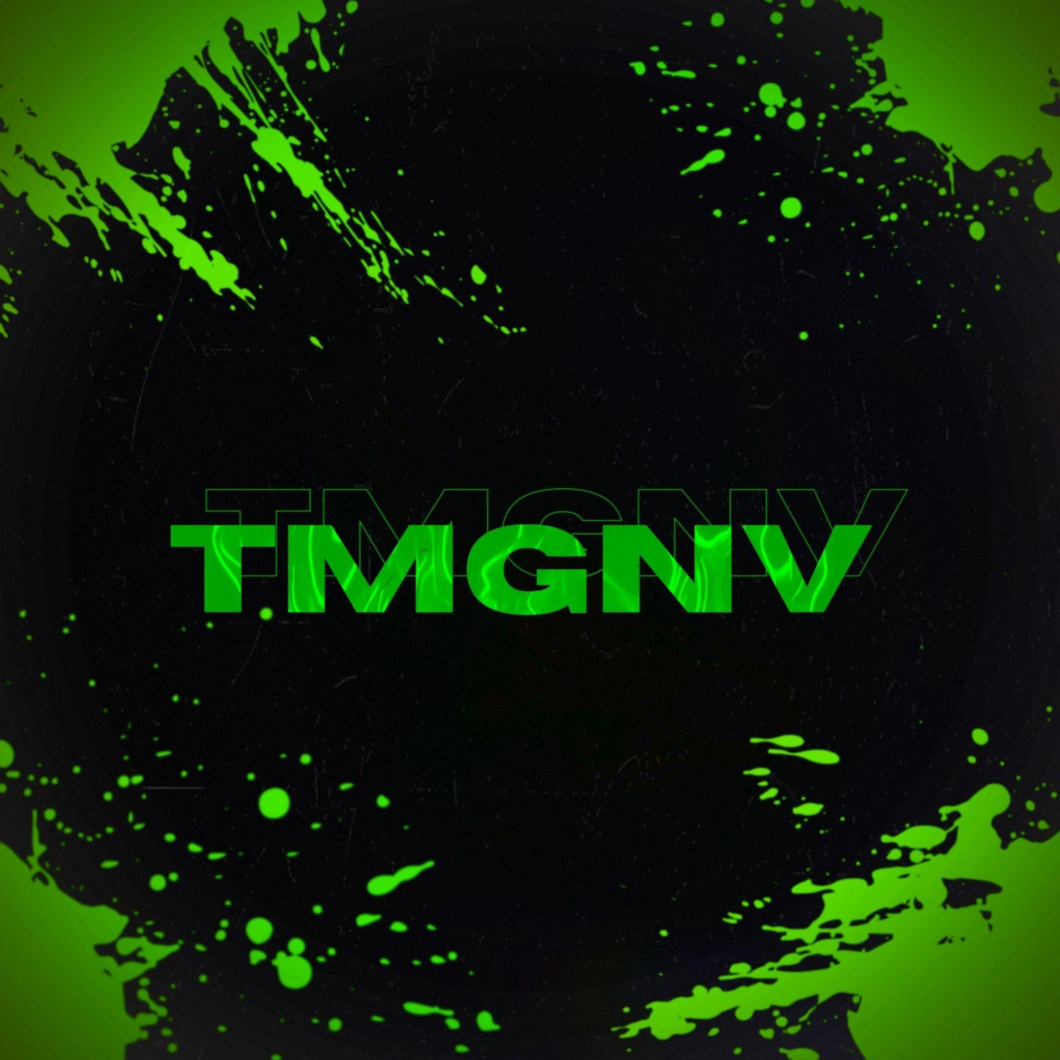 Player tmgnv avatar