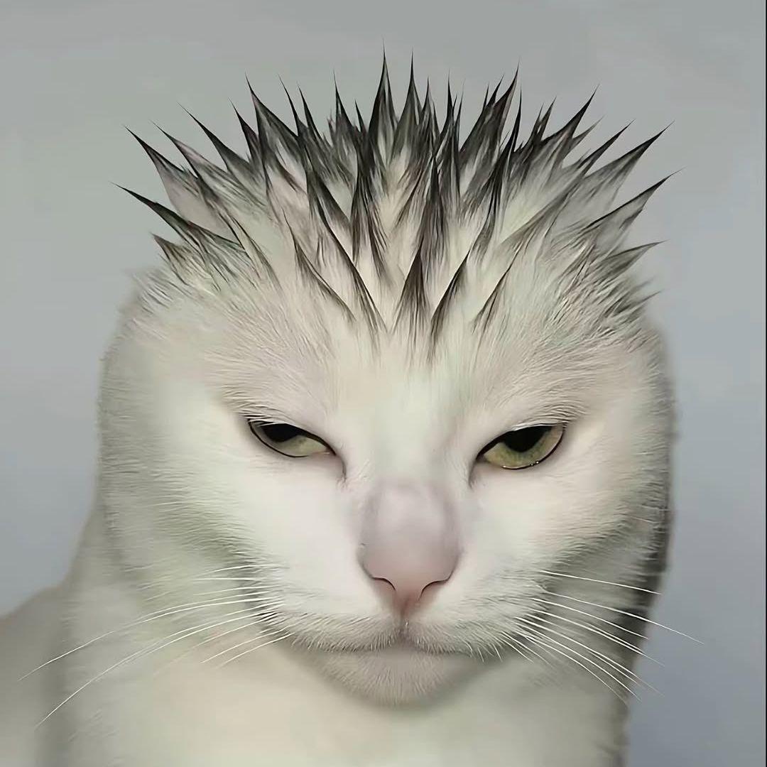 SirMaddox avatar