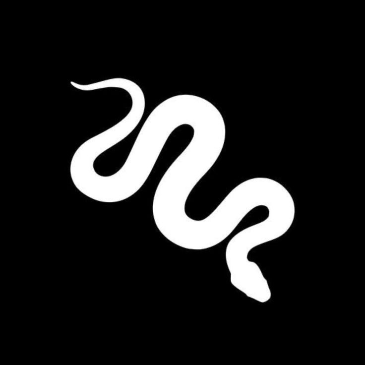 team_jylvn