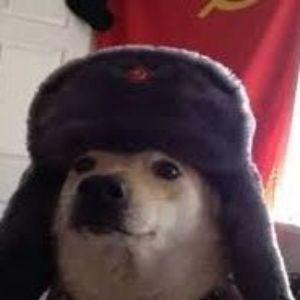 Fraggexd avatar