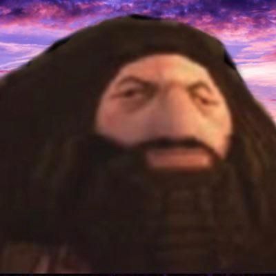 H4GR1D1