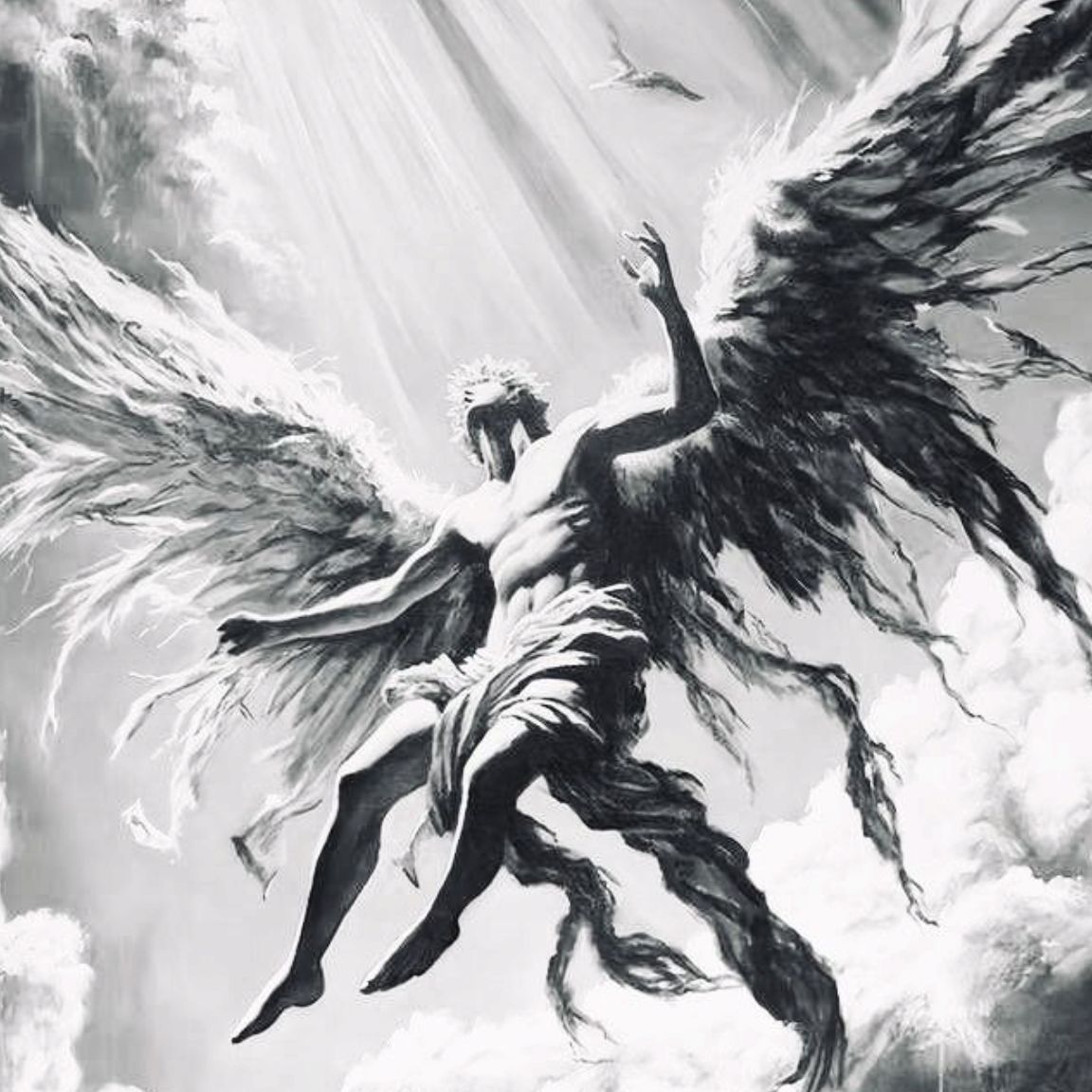 angelwings09