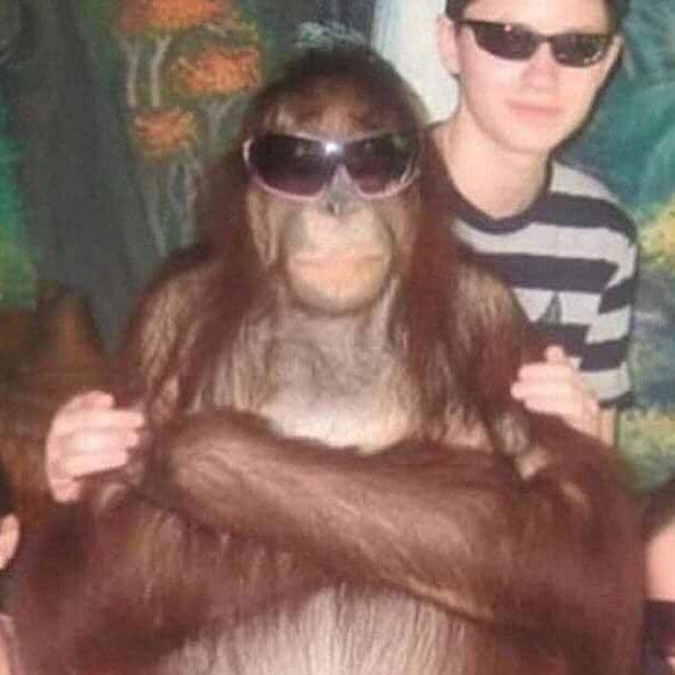 Romsr04 avatar