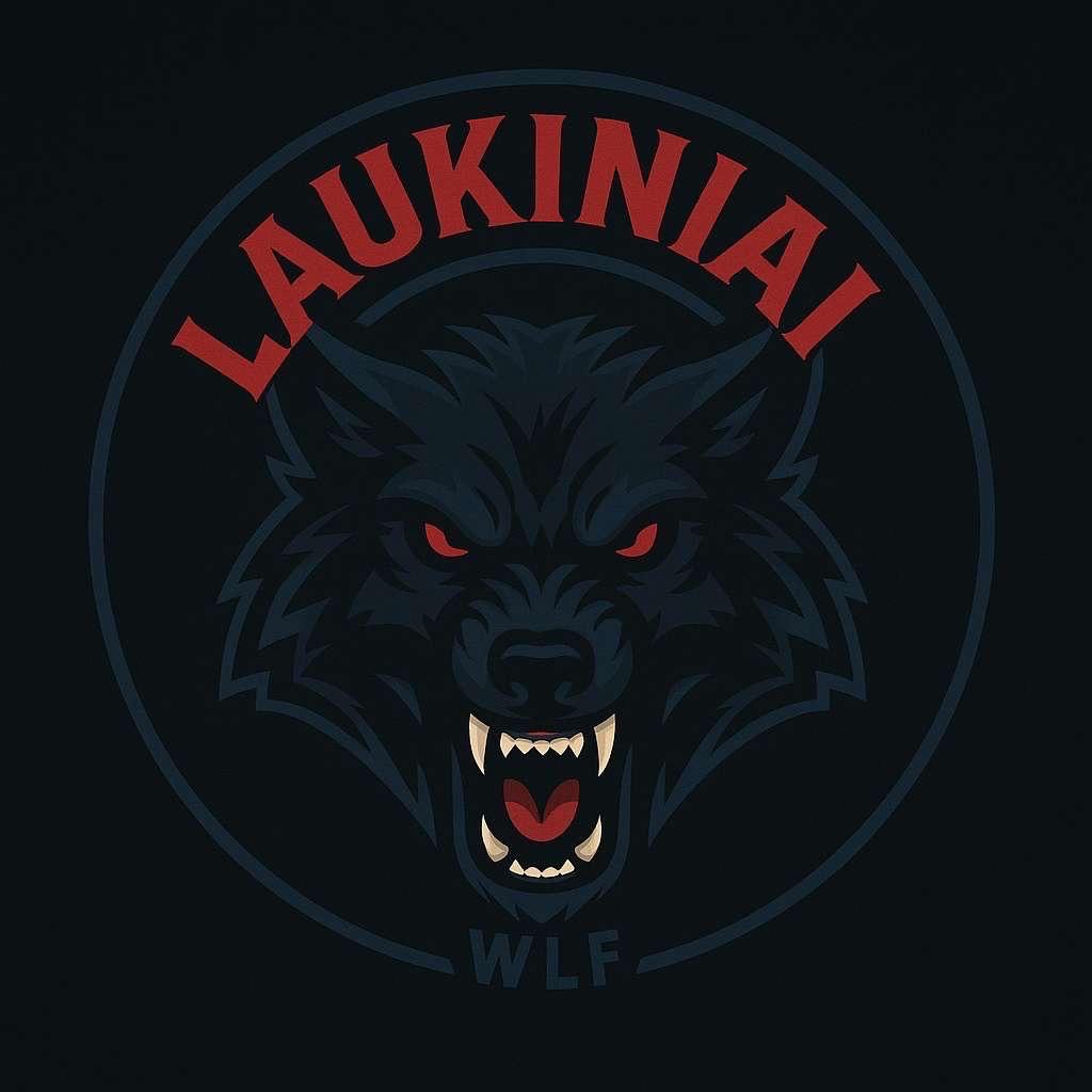 laizytuvas avatar
