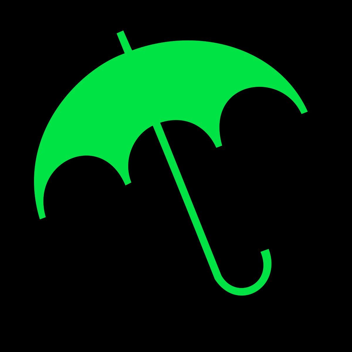 team_chameleo13
