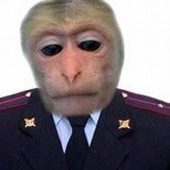 drffter