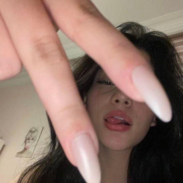 yankez228 avatar