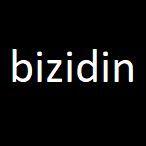 BIZIDIN avatar