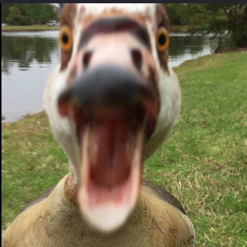 HUNTERS999