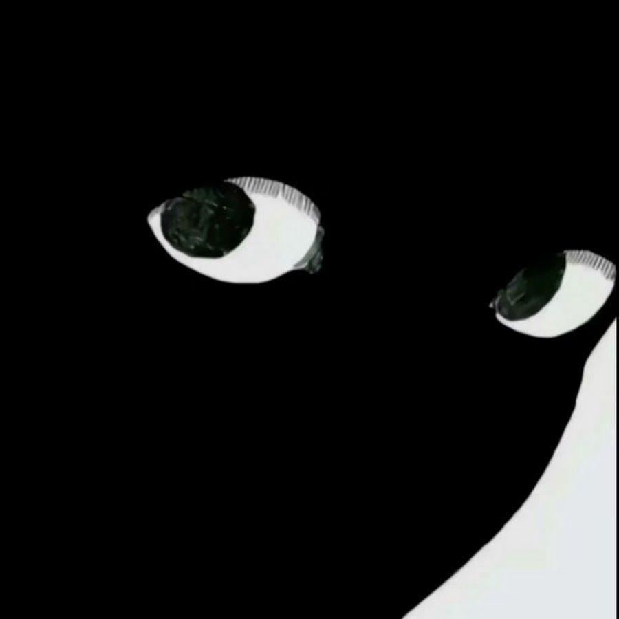 zachilsya_ avatar