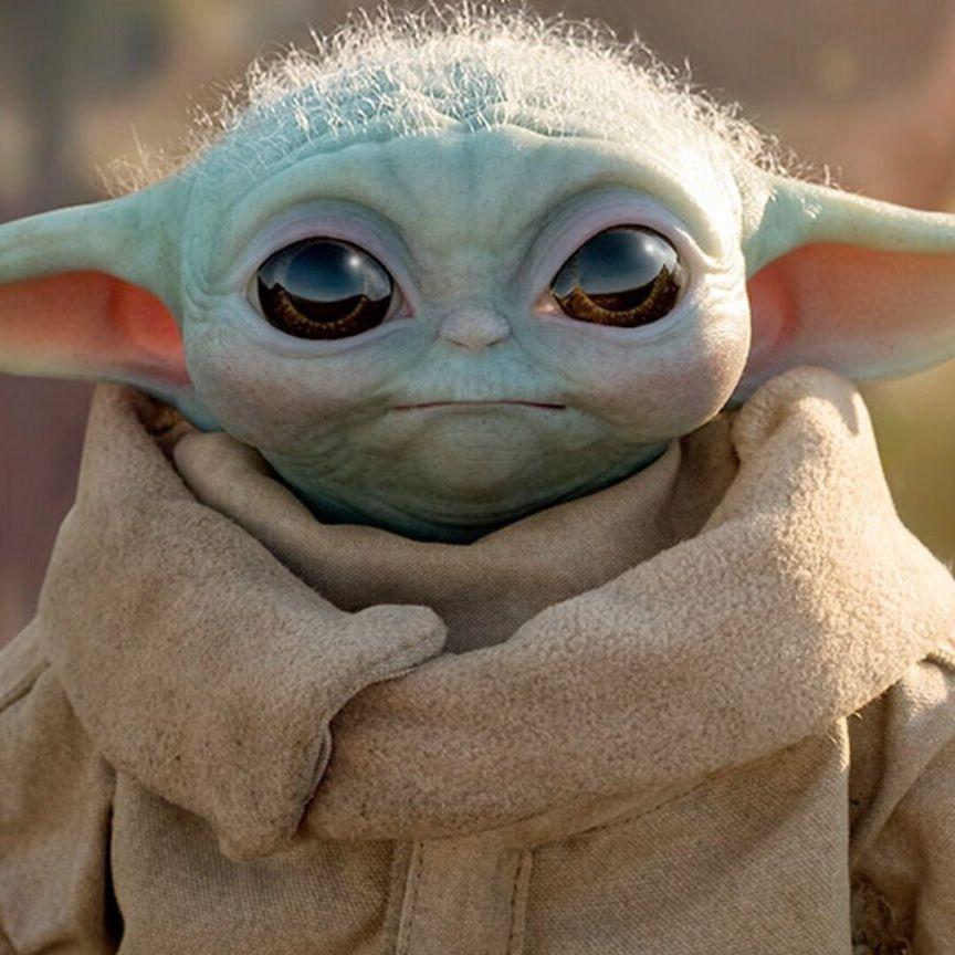bbyd666 avatar