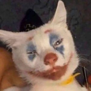 ZKaterina avatar