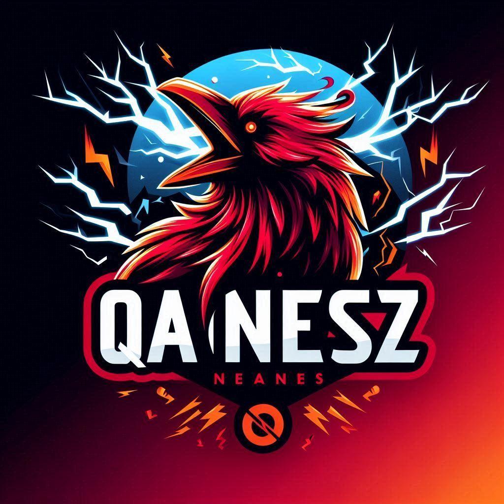 QanesZ avatar