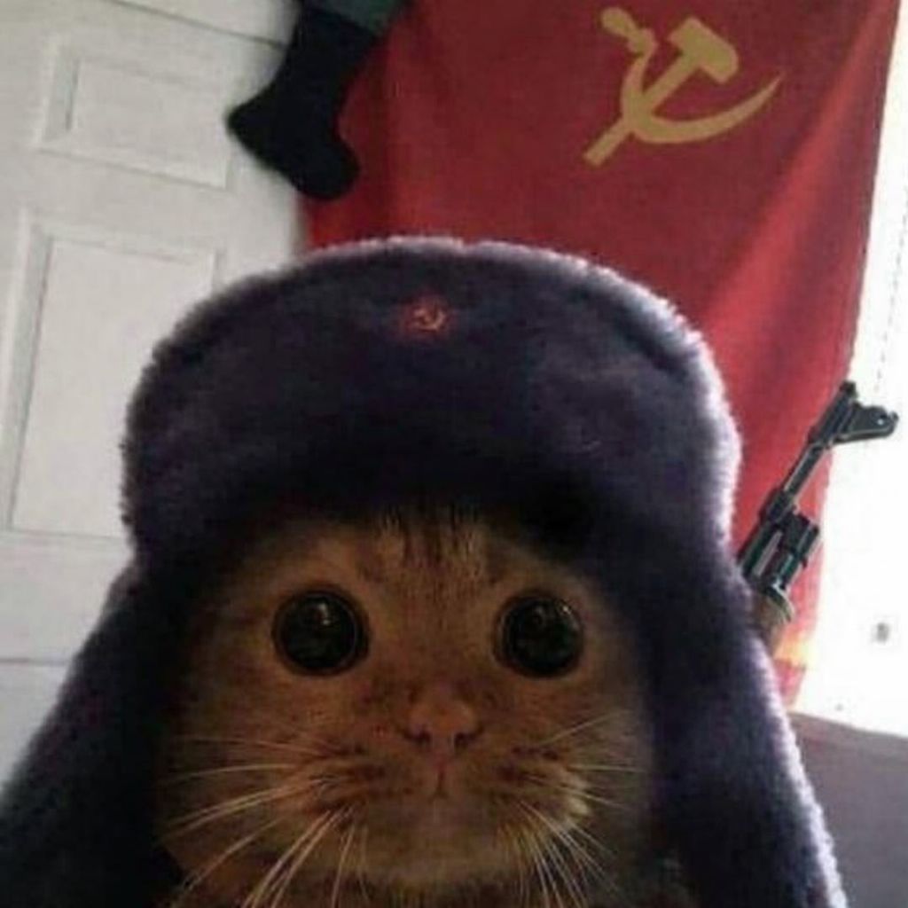 ErR1_DvXor