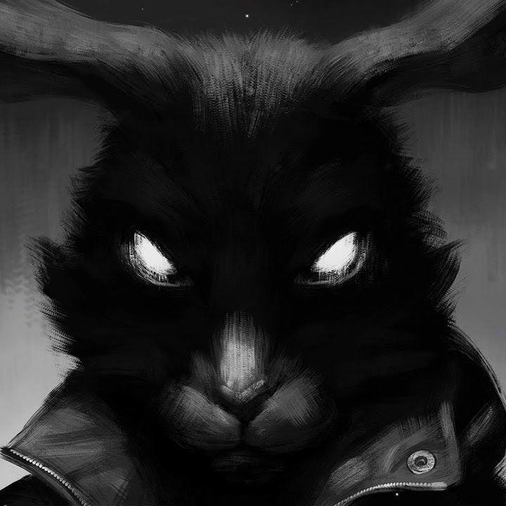 DZSH_KA avatar