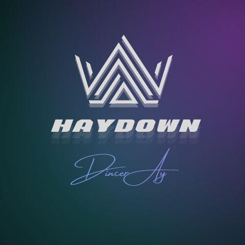 Player HaYDoWN01 avatar