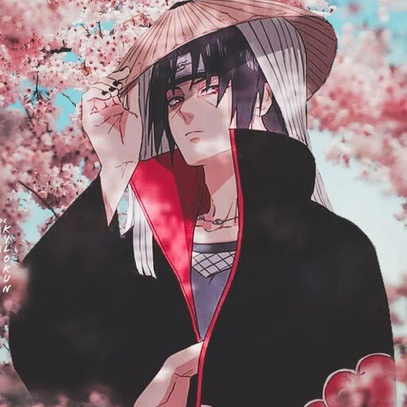 aw1ls avatar