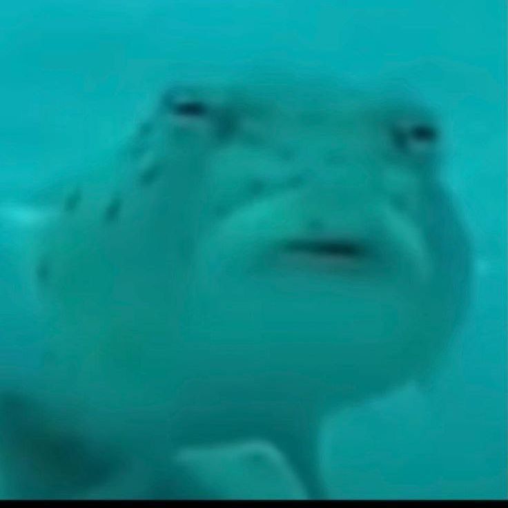 Perry0