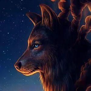 wolfods avatar