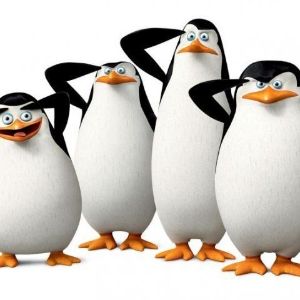 Pinguins do ZE