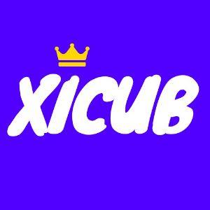 Xicub_ avatar