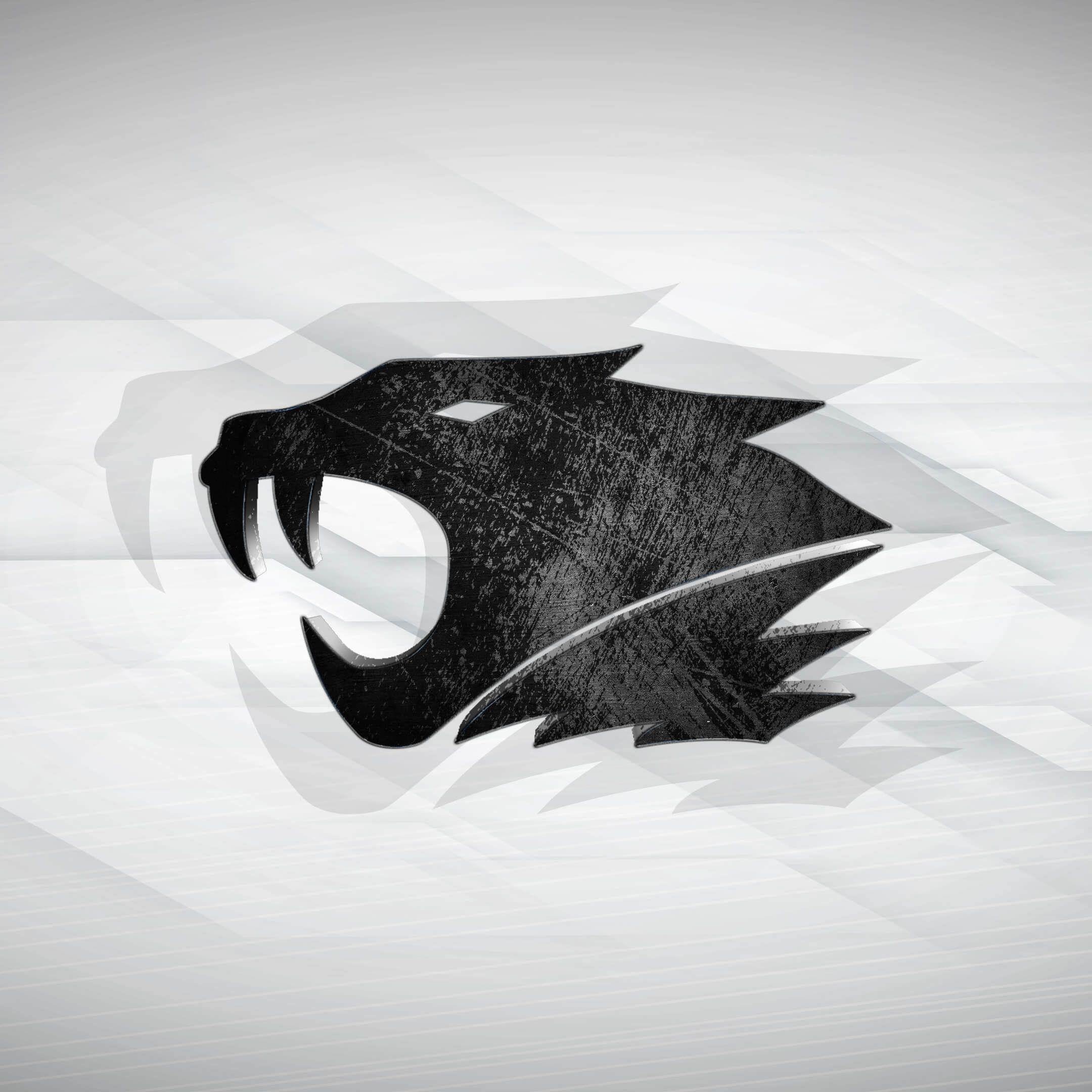 ozangod avatar