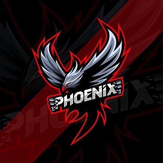 Team PHO3NIX