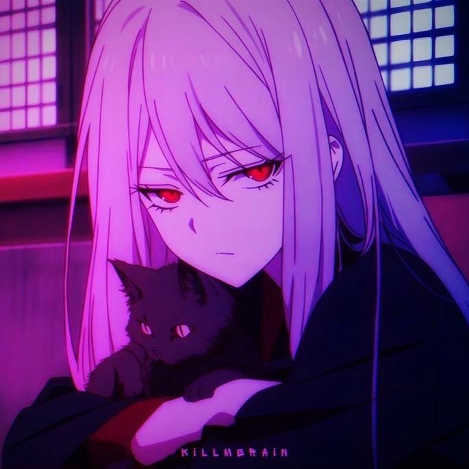 koyotaka avatar