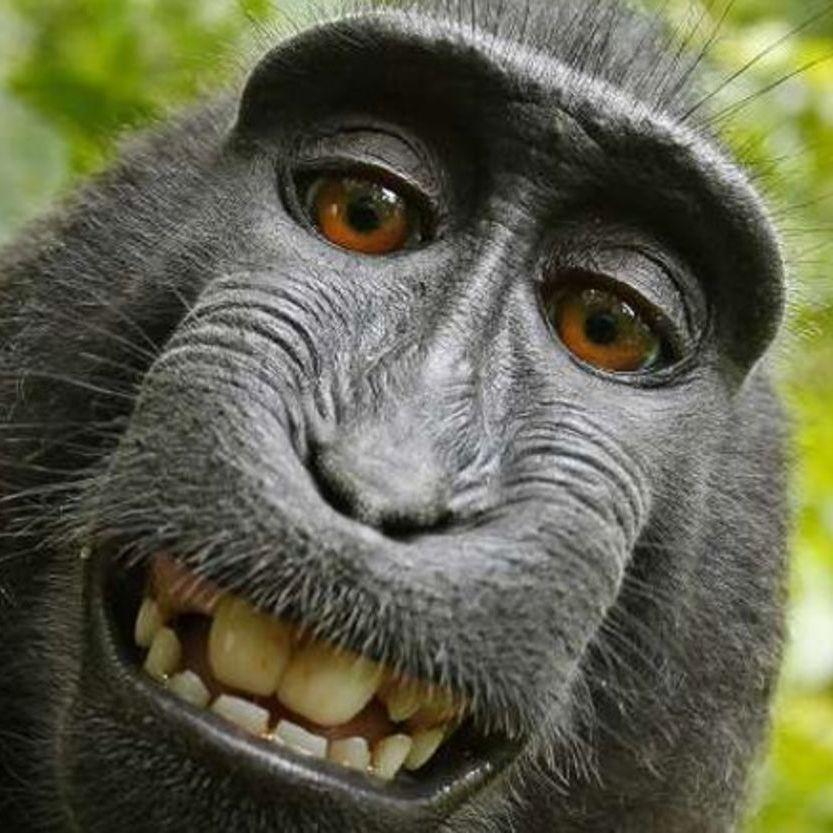 kha3l avatar