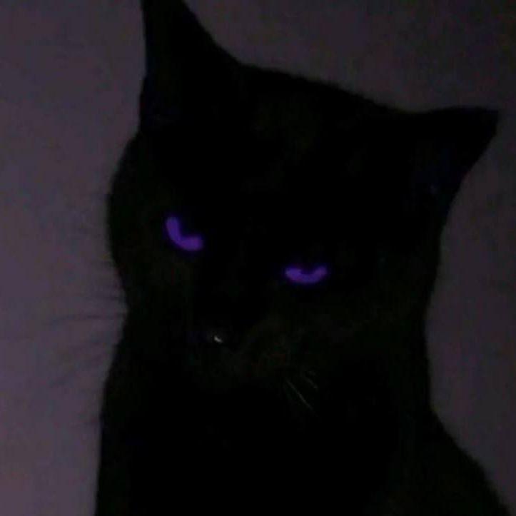 BeeDjey avatar