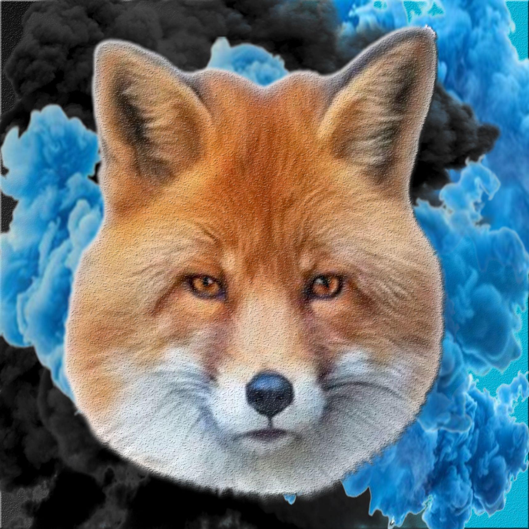 JDFOXY avatar