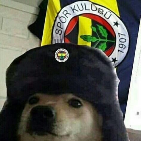 mojexl