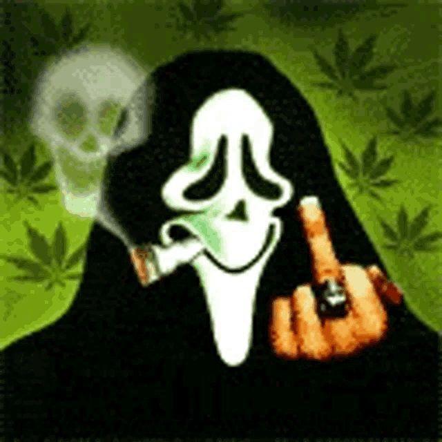 NoSwearr avatar