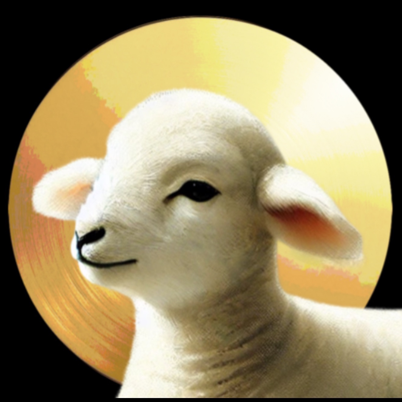 KindaDodgy FACEIT avatar