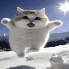 sendrax
