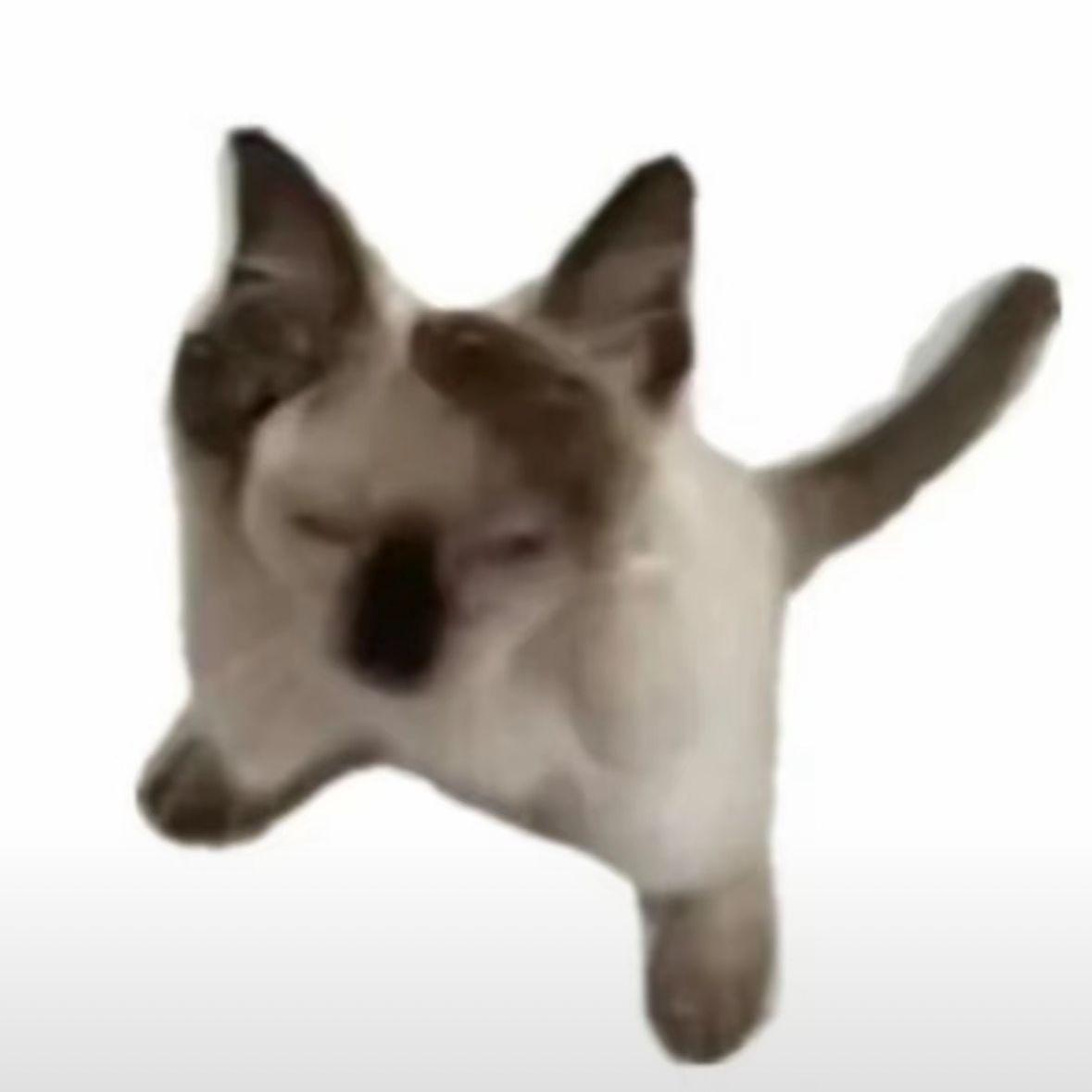 Brian66657 avatar