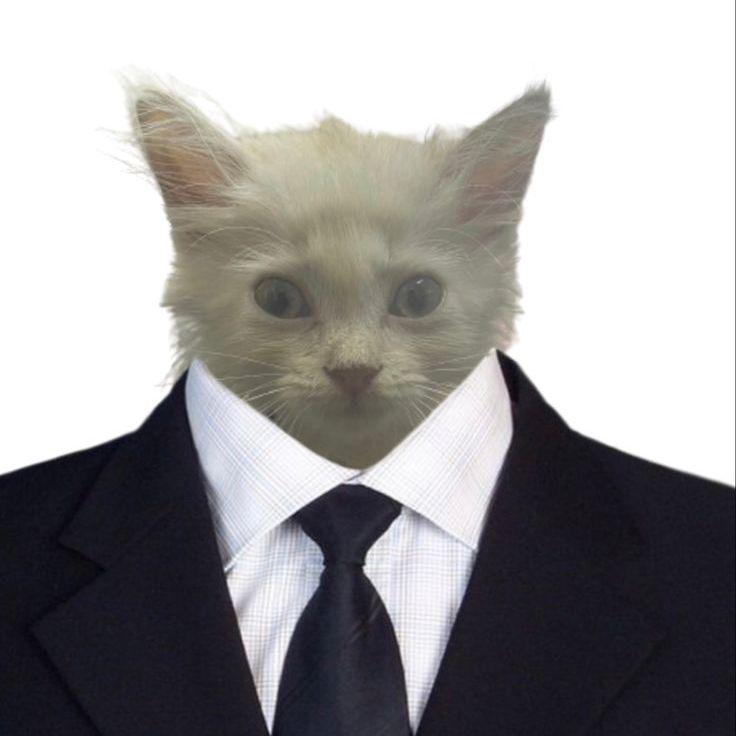 kosta52 avatar