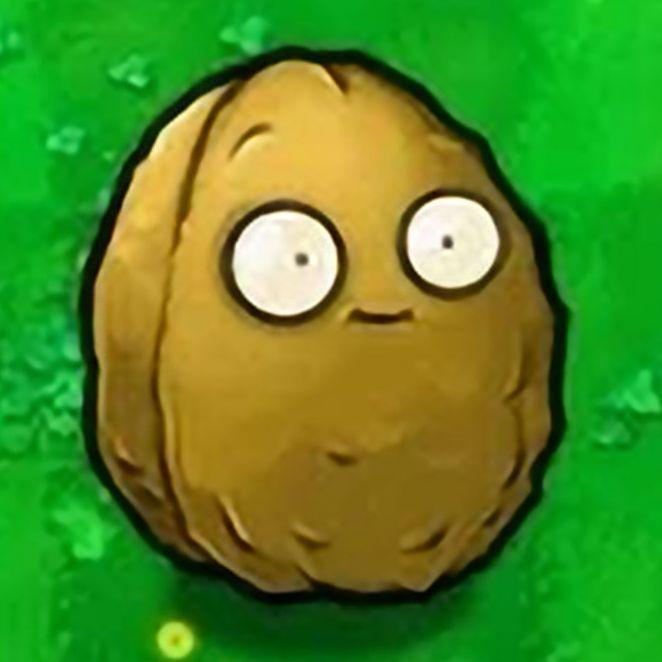 CTEHOPEX avatar