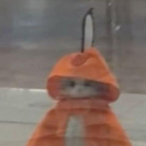 Fen1ksov avatar