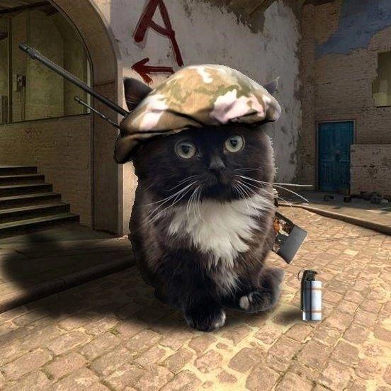 abdsk avatar