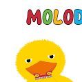 MOLODI-