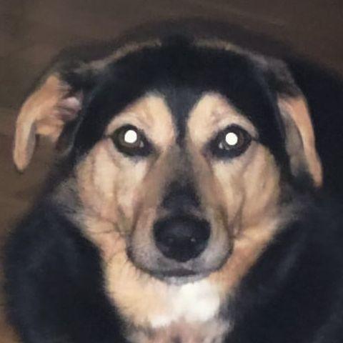 awwperBono avatar