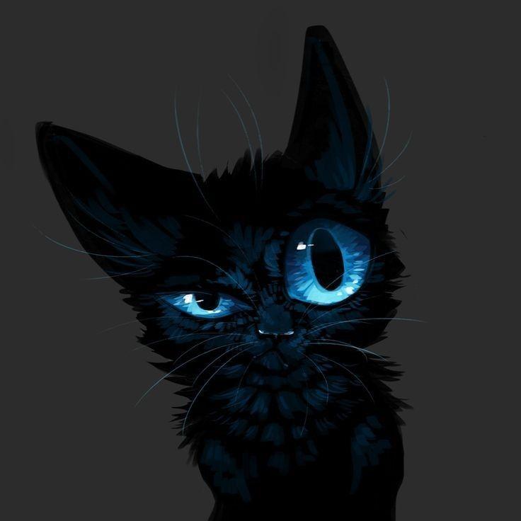 aabbzziikk avatar